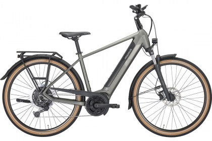 PEGASUS SOLERO EVO 10