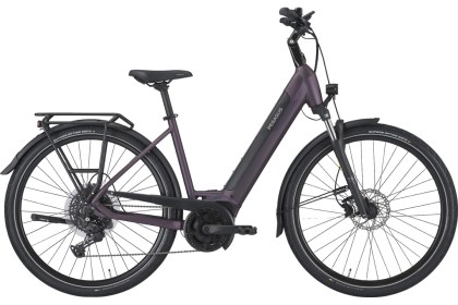 PEGASUS SOLERO EVO 10