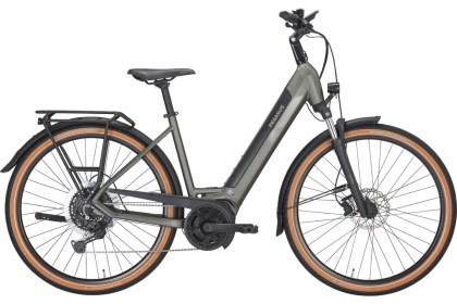 PEGASUS SOLERO EVO 10