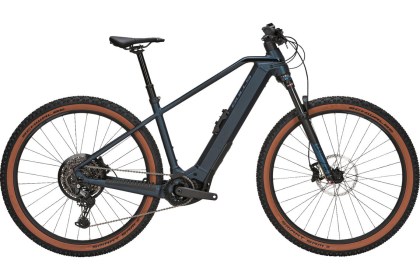 BULLS SONIC EVO 29