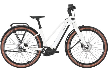 BULLS STURMVOGEL EVO