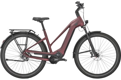 PEGASUS ESTREMO EVO 12 Lite