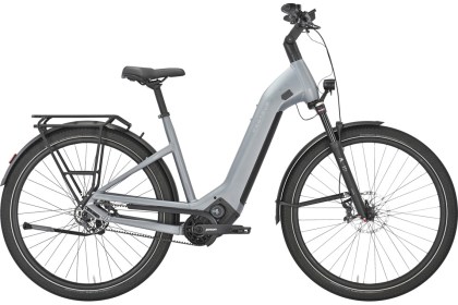 PEGASUS ESTREMO EVO 12 Lite