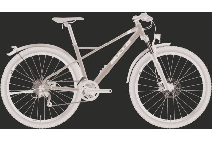 BULLS SHARPTAIL STREET 2