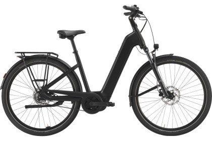 PEGASUS Solero EVO 5R Belt