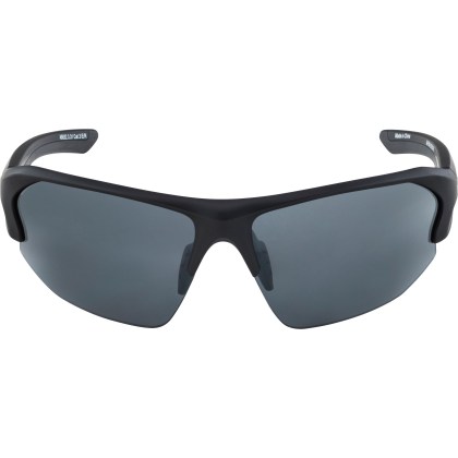 ALPINA LYRON HR Sportbrille
