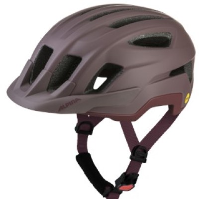 Alpina PARANUS MIPS raisin matt 