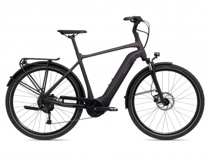 Giant DailyTour E+ 3
